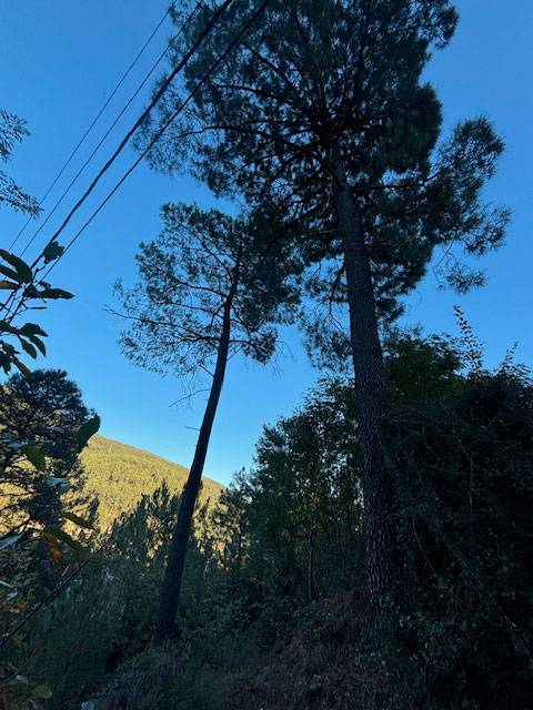 realisations-jean-elagage-7